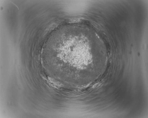 X0000052601441200507221622