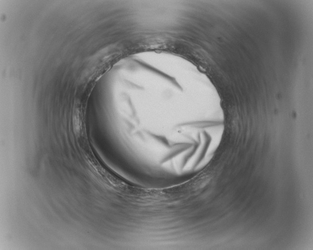 X0000052601442200507221622