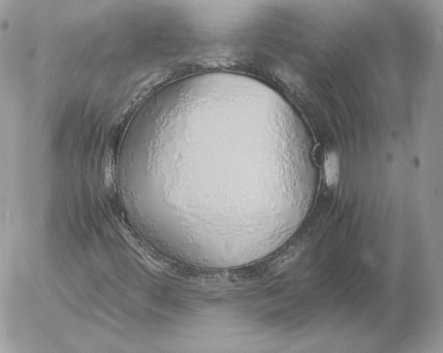 X0000052601444200507221622