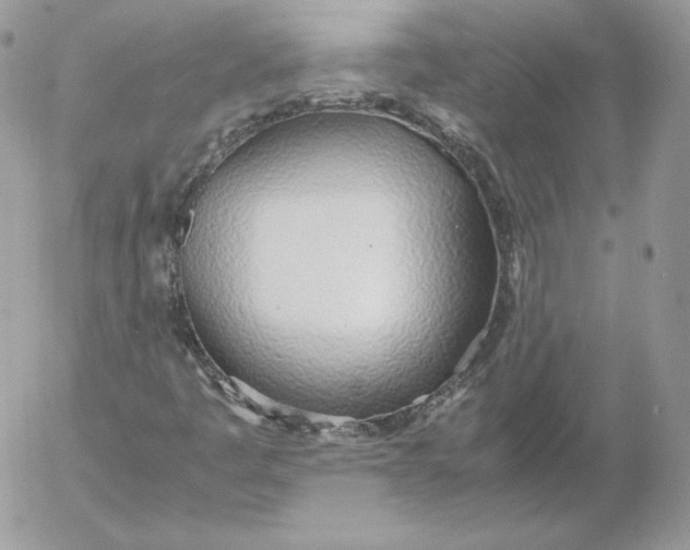 X0000052601445200507221622