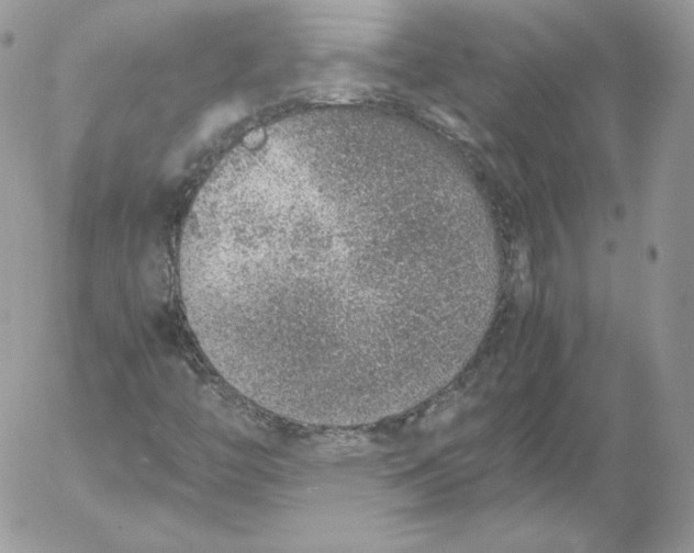 X0000052601446200507221622