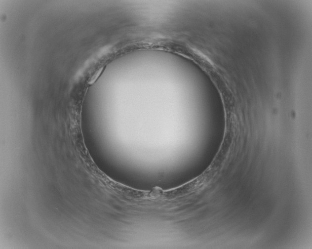 X0000052601447200507221622