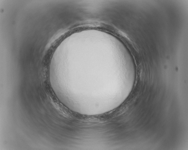 X0000052601448200507221622