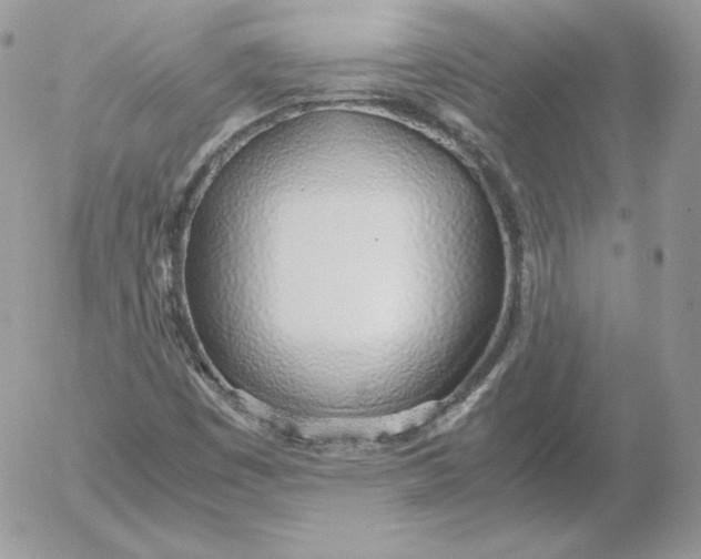 X0000052601449200507221622