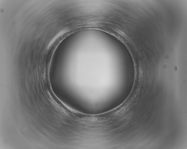 X0000052601450200507221622