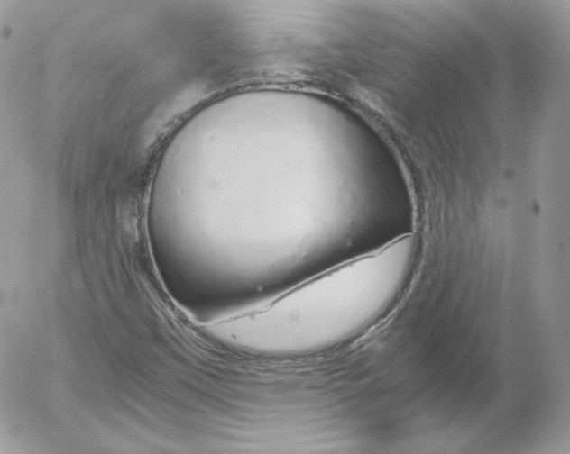 X0000052601451200507221622