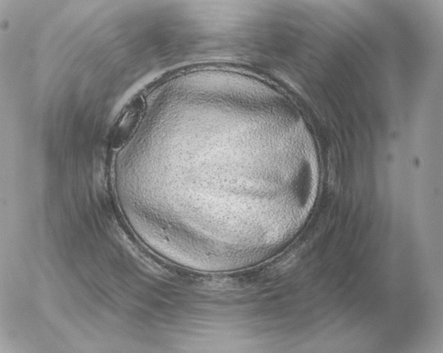 X0000052601452200507221622