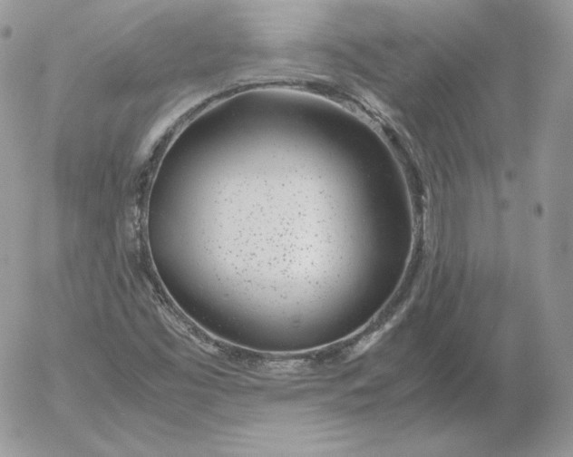 X0000052601453200507221622