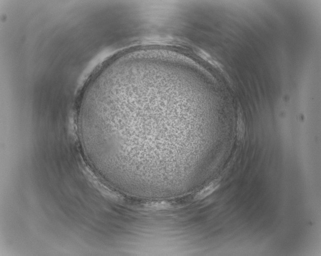 X0000052601454200507221622