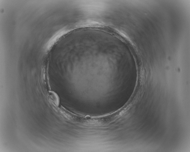 X0000052601455200507221622