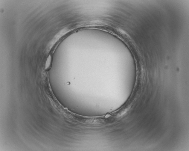 X0000052601457200507221622