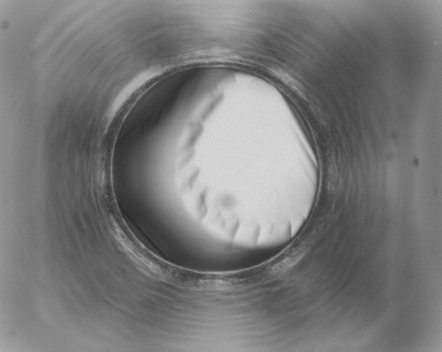 X0000052601458200507221622