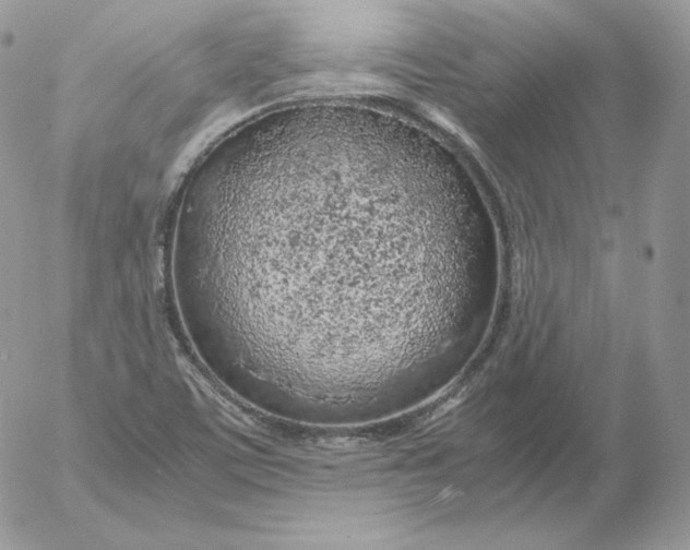 X0000052601459200507221622