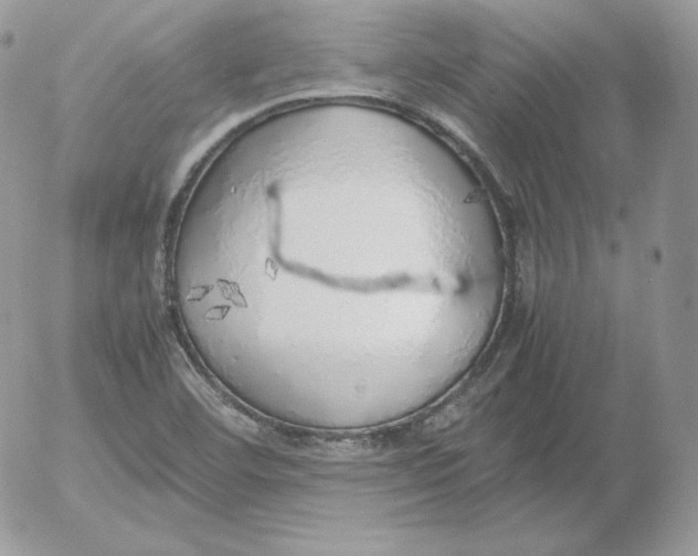 X0000052601460200507221622