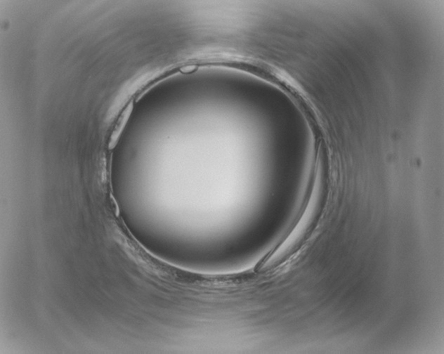 X0000052601461200507221622