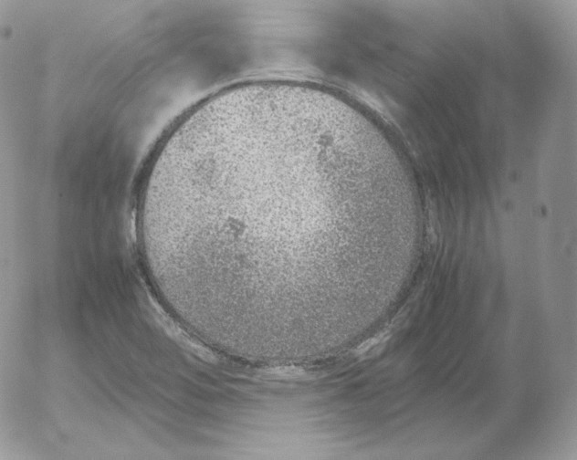 X0000052601462200507221621