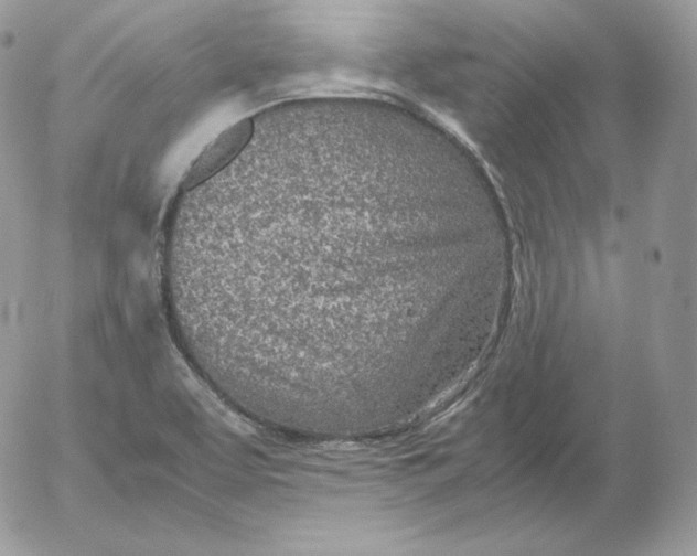 X0000052601463200507221621