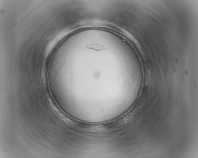 X0000052601464200507221621