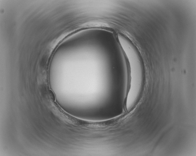 X0000052601465200507221621