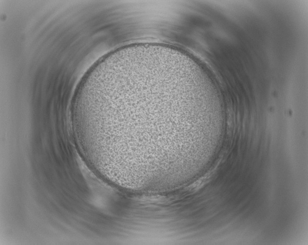 X0000052601466200507221621