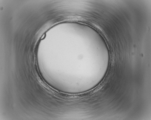 X0000052601467200507221621