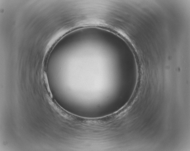 X0000052601469200507221621