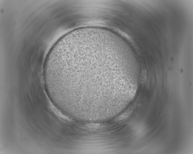 X0000052601470200507221621