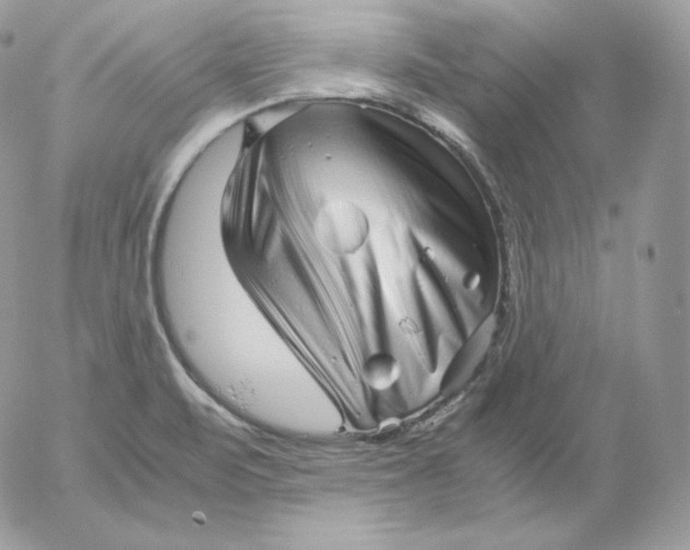 X0000052601471200507221621