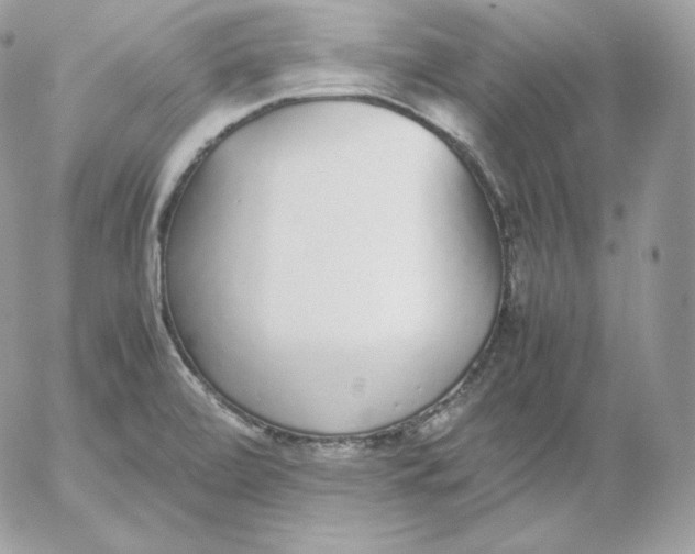 X0000052601472200507221621