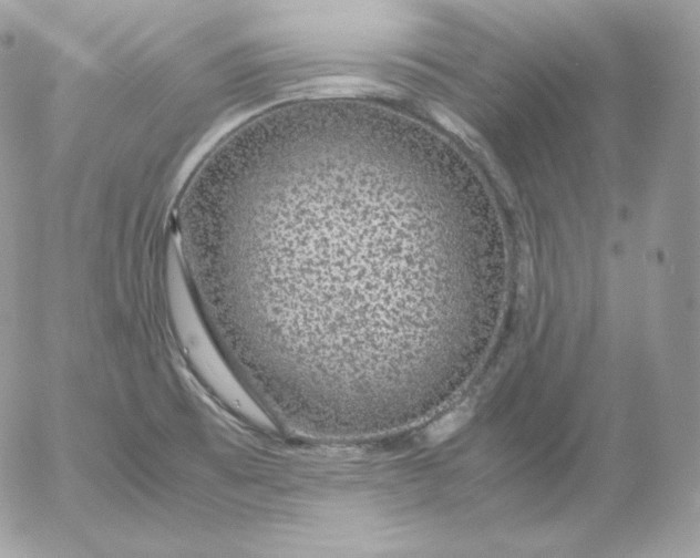 X0000052601473200507221621