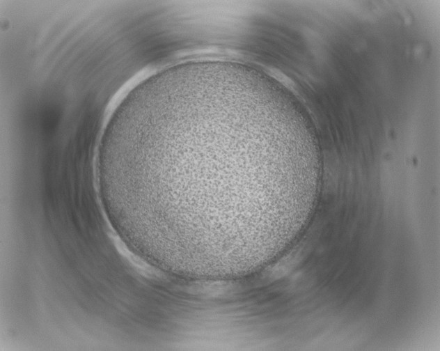 X0000052601474200507221621