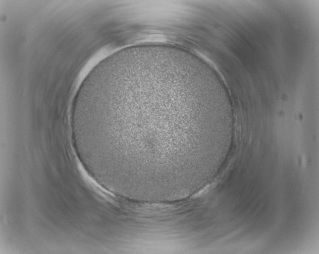 X0000052601475200507221621