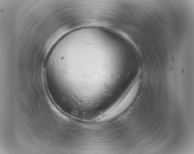 X0000052601476200507221621