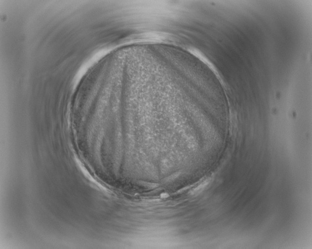 X0000052601477200507221621