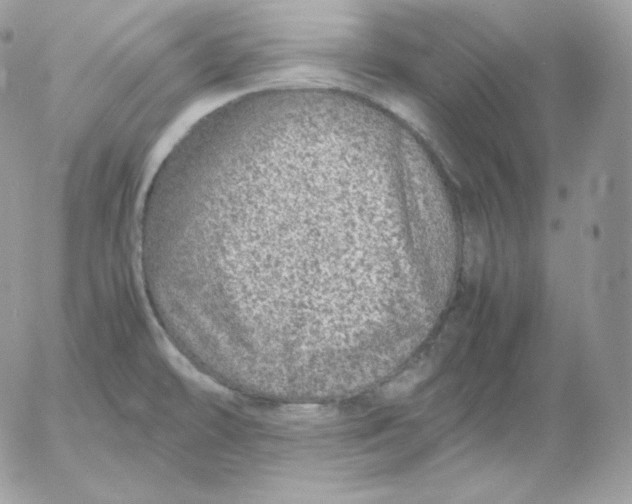 X0000052601478200507221621