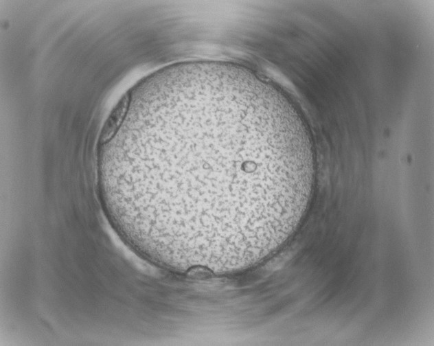 X0000052601479200507221621