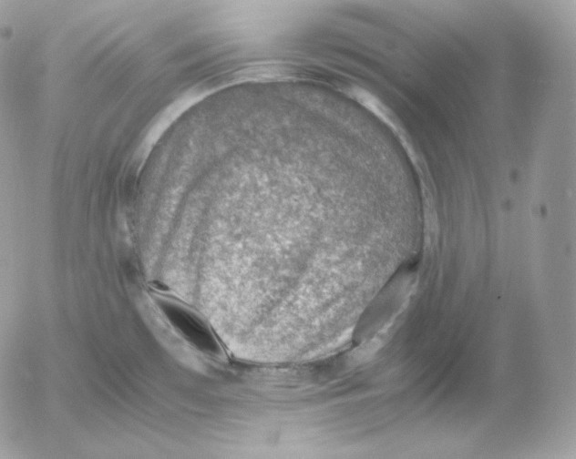 X0000052601481200507221621