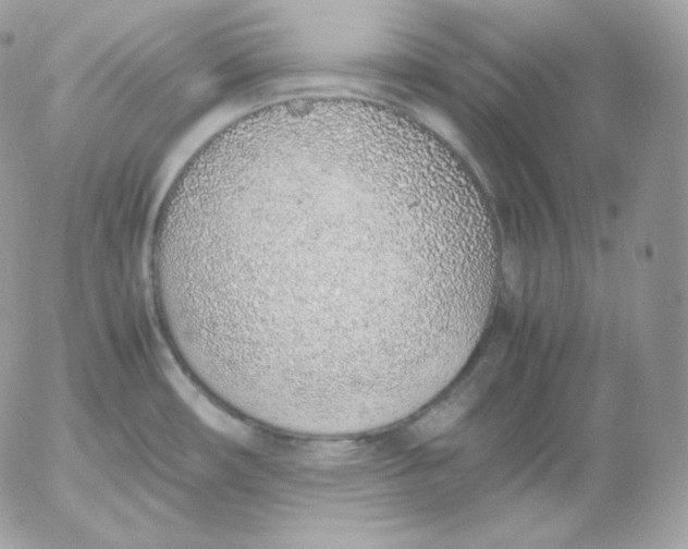 X0000052601482200507221621