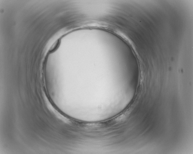 X0000052601483200507221621