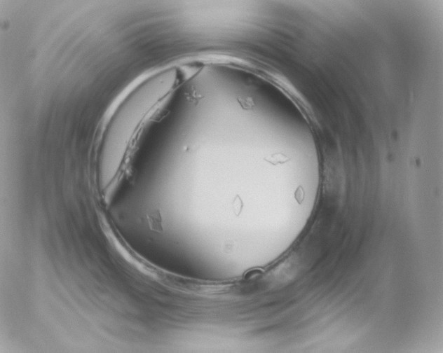 X0000052601484200507221621