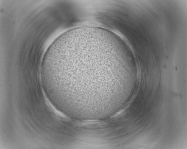 X0000052601486200507221621