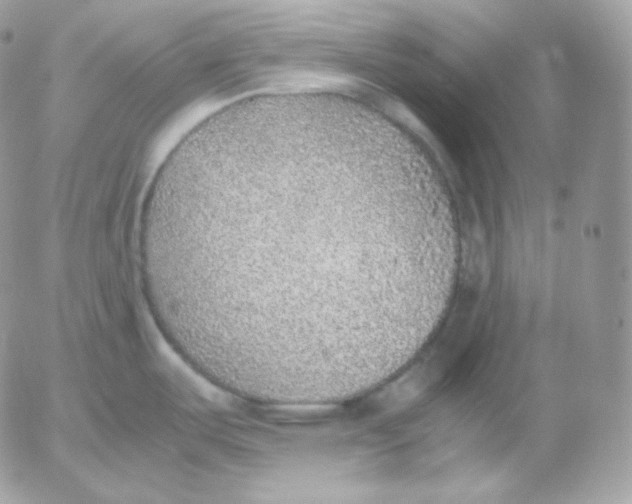 X0000052601487200507221621