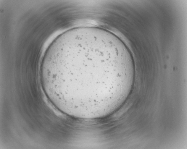 X0000052601488200507221621