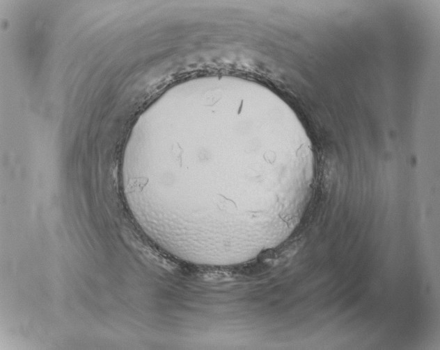 X0000052601489200507221620