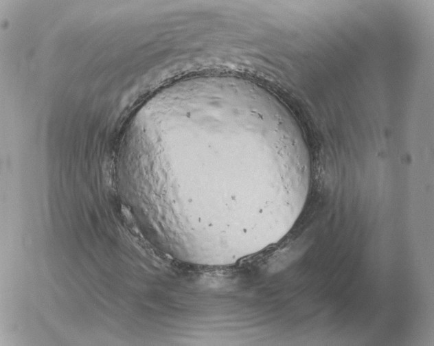 X0000052601490200507221620