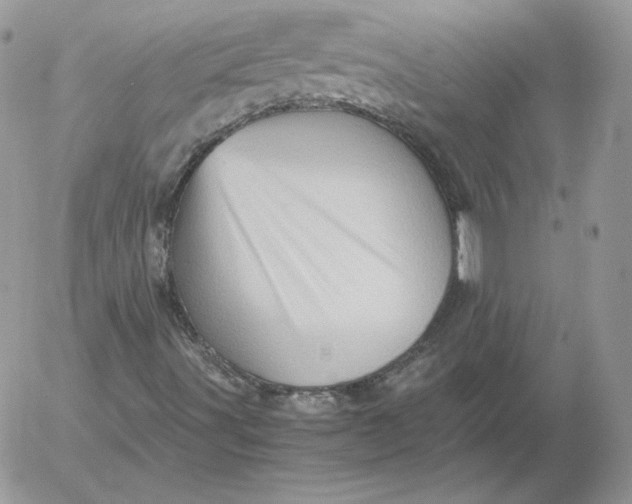 X0000052601491200507221620