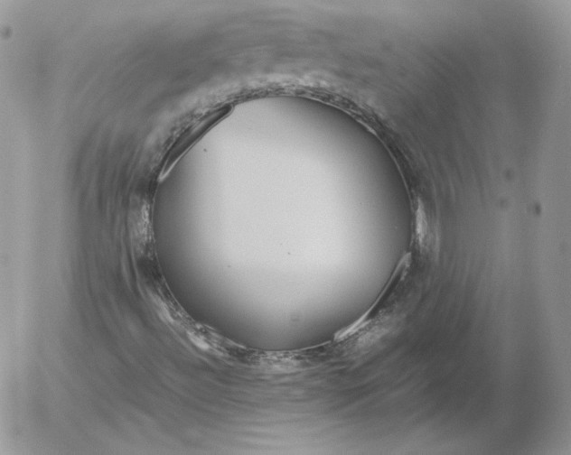 X0000052601492200507221620