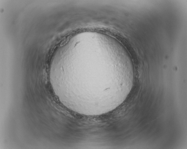 X0000052601493200507221620