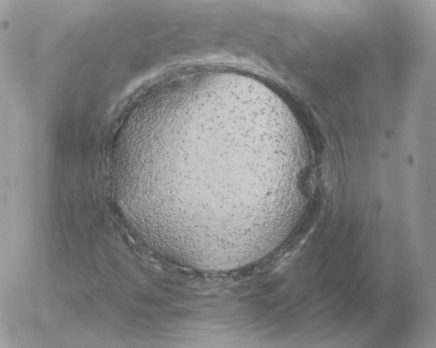 X0000052601494200507221620