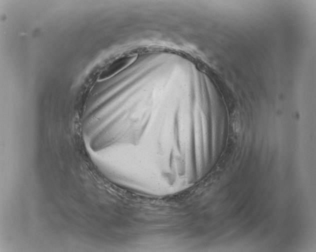 X0000052601495200507221620